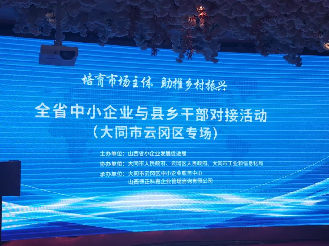 软1.jpg